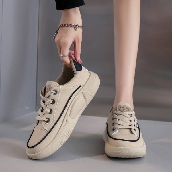 2de51a12 af60 4a77 a7b6 128fbda9e93d.jpg